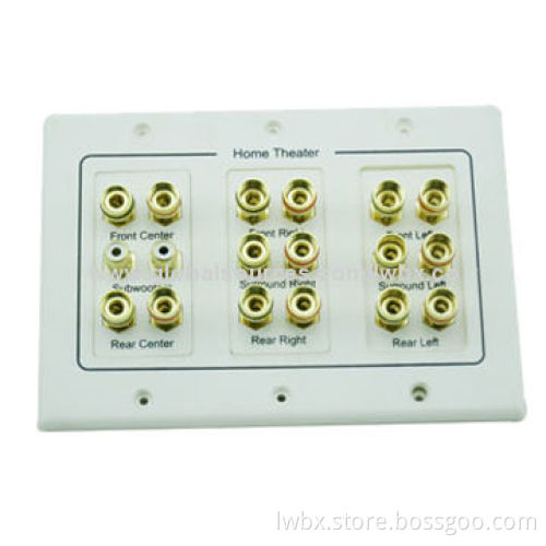 7.1 Surround Sound Distribution Wall Plate
